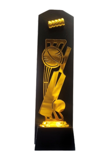 Gold trophy with black base on a white background