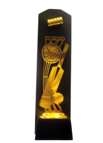 Gold cricket batsman premium trophy; custom medals available.