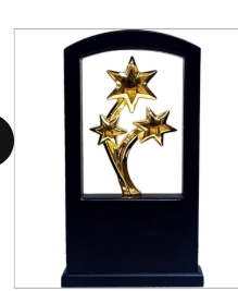 Premium Star Acrylic Trophy