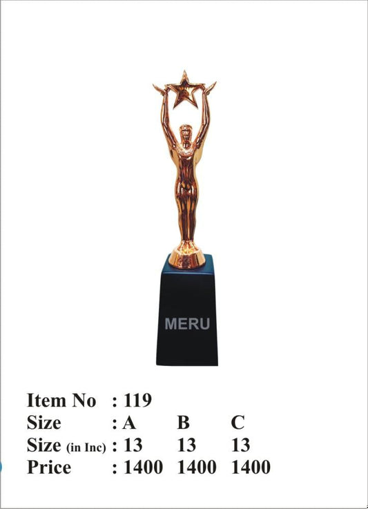Bronze and copper star corporate trophy.