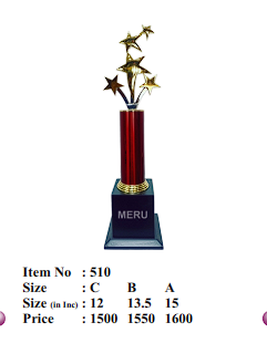Premium star trophy for corporate recognition