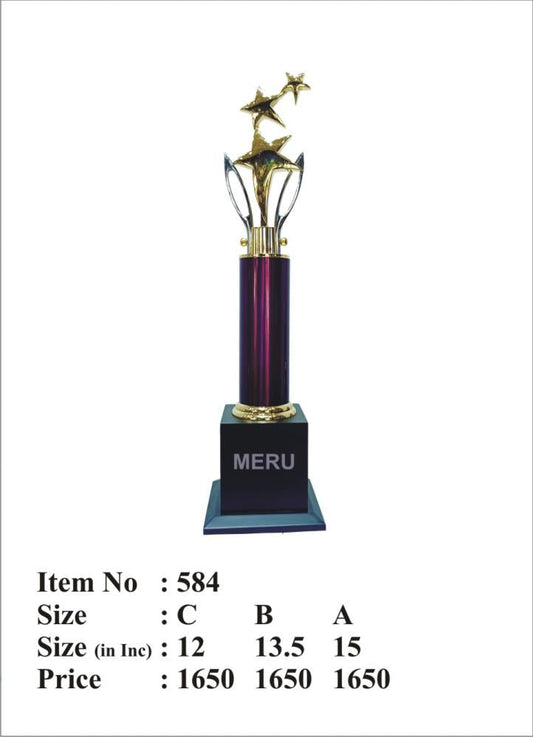 Gold star acrylic trophy