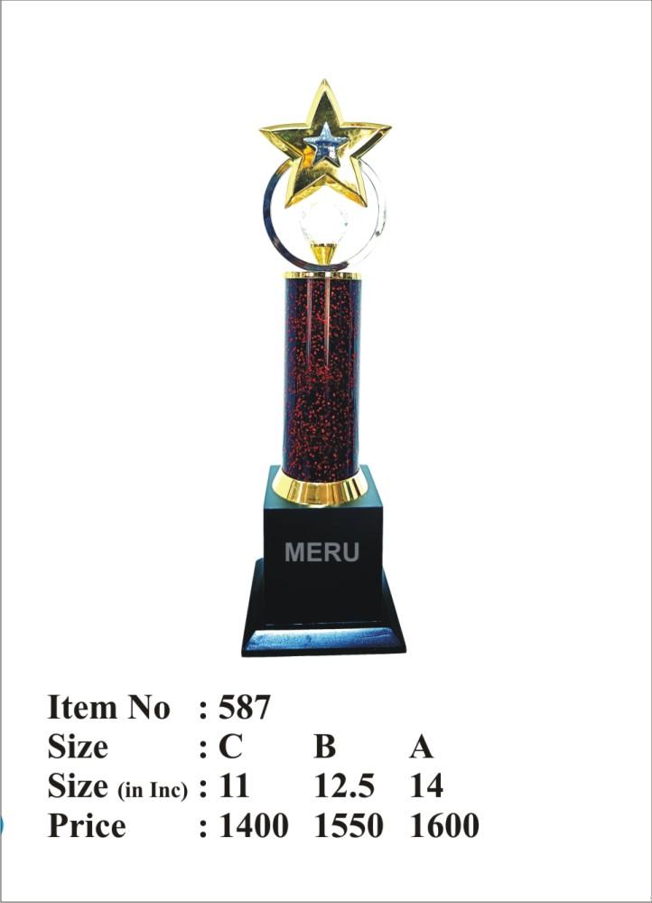 Gold star acrylic trophy