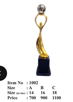 Gold and silver achievement award trophy