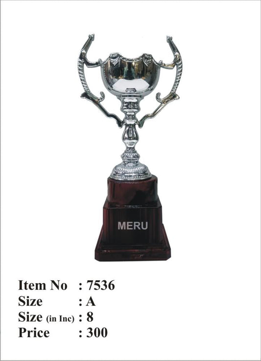 Silver Cup Corporate Trophy on Wooden Base