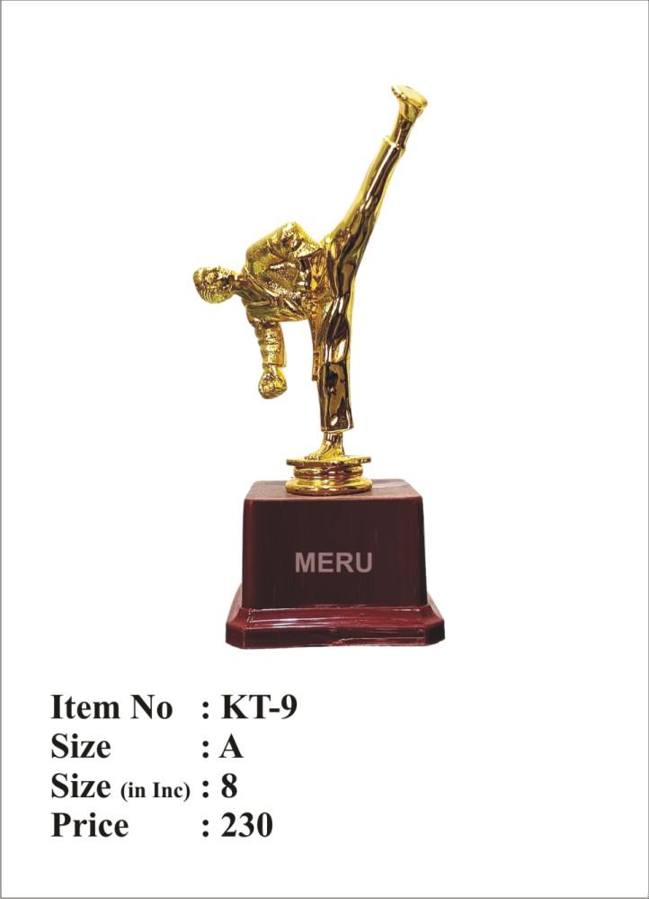 Gold Fibre-Trophy featuring a martial artist in a high-kick pose.