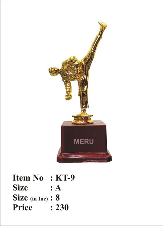 Gold Fibre-Trophy featuring a martial artist in a high-kick pose.