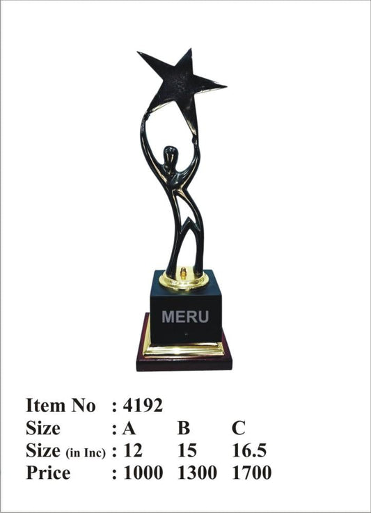 Star Achiever Trophy -  A symbol of achievement and aspiration. Perfect for corporate awards; employee recognition; or academic awards for students.