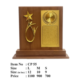 Wooden Achievement Award Memento