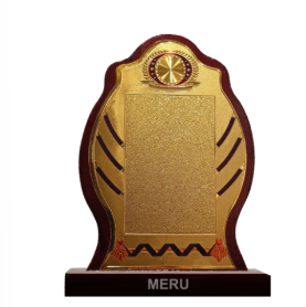 Elegant wooden trophy with gold plate; perfect for corporate awards and employee recognition.