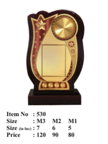 Wooden memento with gold plate for award citation