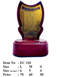 Elegant wooden corporate trophy