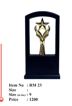 Wooden Star Award Memento